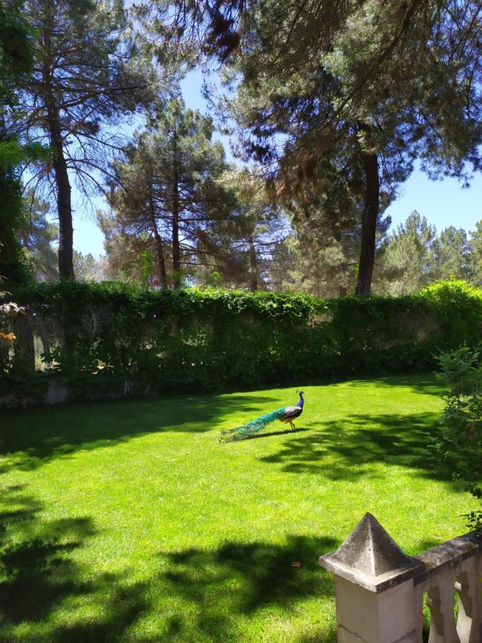 Rural Arco Iris Pension Cuenca  Buitenkant foto
